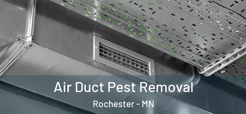 Air Duct Pest Removal Rochester - MN