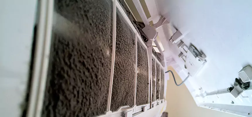 Preventive Air Duct Bacteria Removal in Rochester