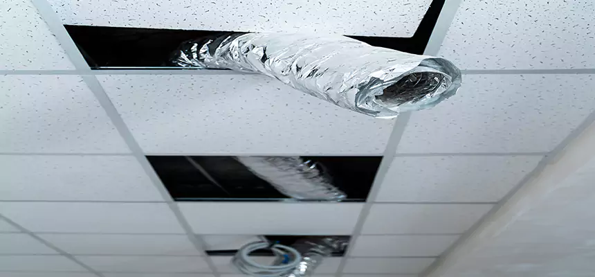 Our Air Duct Pet Hair Removal Services in Rochester, MN