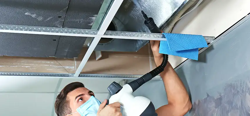 Our Air Duct Rodent Removal Services in Rochester, MN