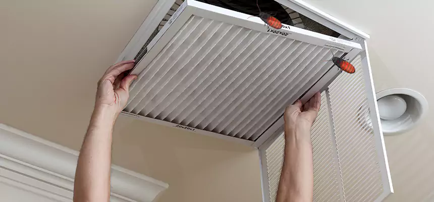 Our Insect Removal from Air Ducts Services in Rochester, MN