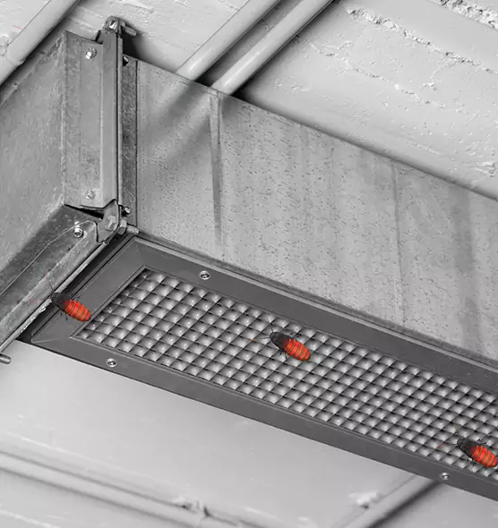 About Air Duct Cockroach Removal in Rochester, MN
