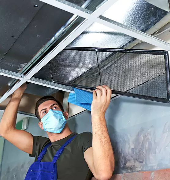 Professional Air Duct Pollen Cleaning in Rochester, MN