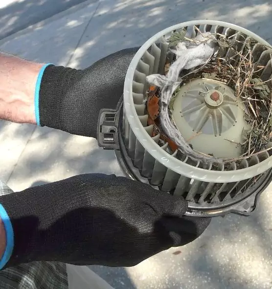 About Air Duct Rat Removal in Rochester, MN