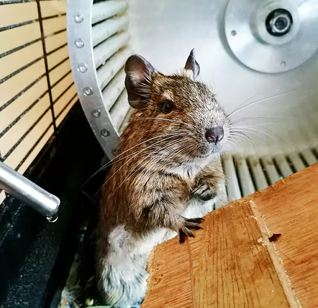 Why Homeowners & Businesses Trust Us Rochester, MN