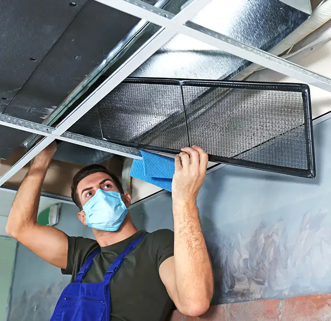 Why Homeowners & Businesses Trust Us in Rochester, MN?