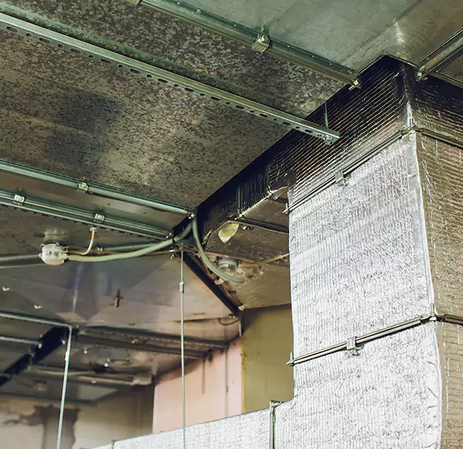 Why Homeowners & Businesses Trust Us in Rochester, MN?